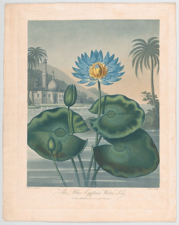 THE MYSTERY OF THE BLUE LOTUS