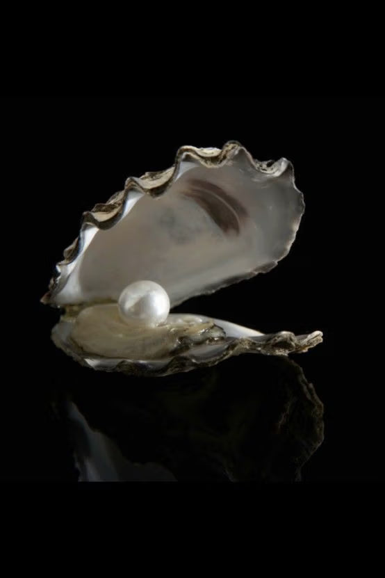 Cleopatra's Pearl
