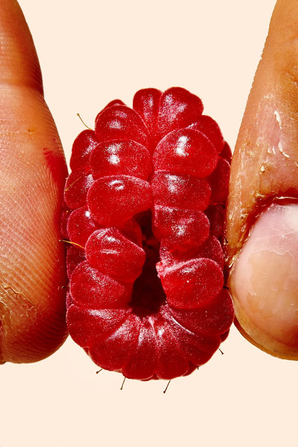 The Pleasure of Eating Fruit