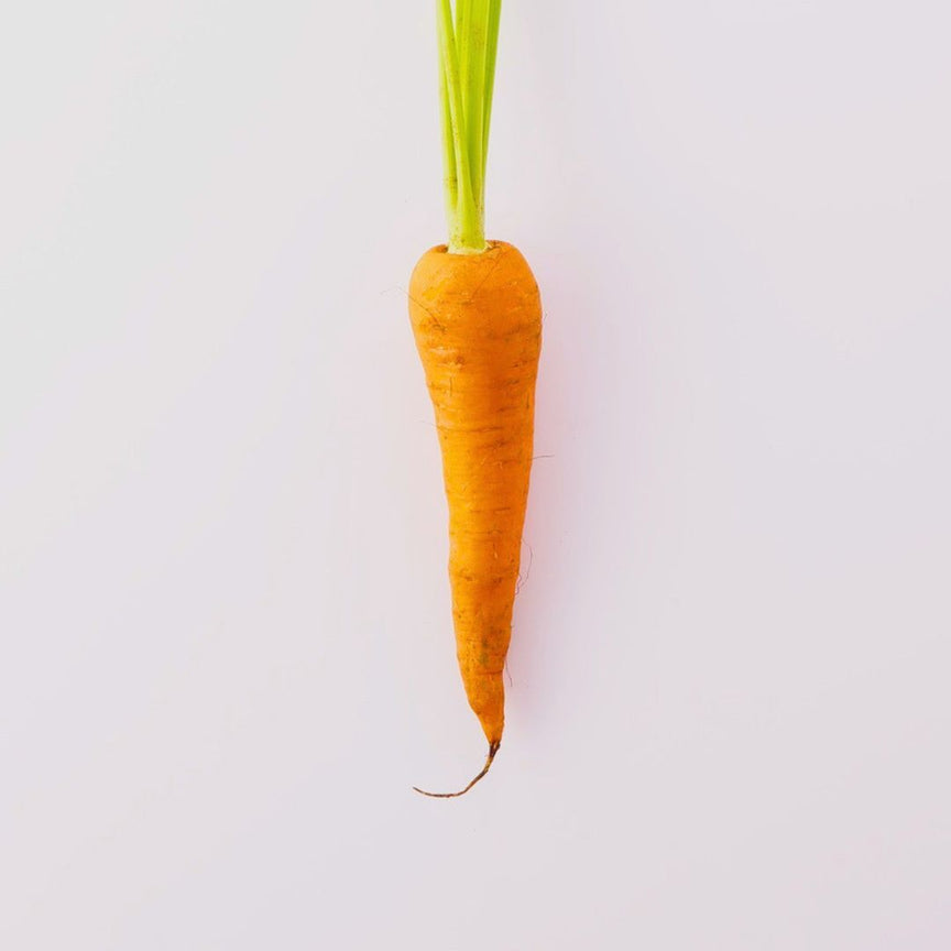 CARROT ROOT EXTRACT (DAUCUS CAROTA SATIVA)
