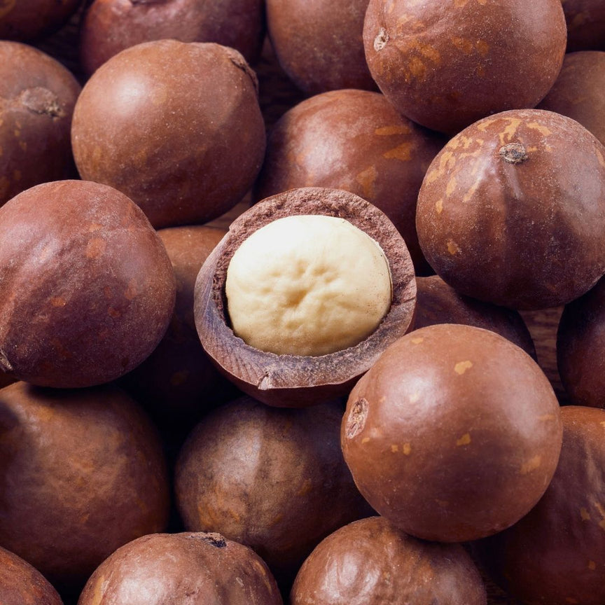 MACADAMIA SEED OIL (MACADAMIA INTEGRIFOLIA)